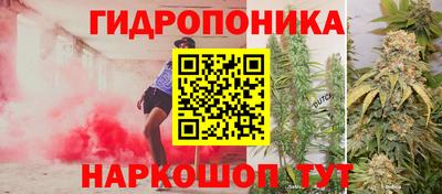 кокаин Будённовск