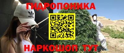 стаф Бузулук
