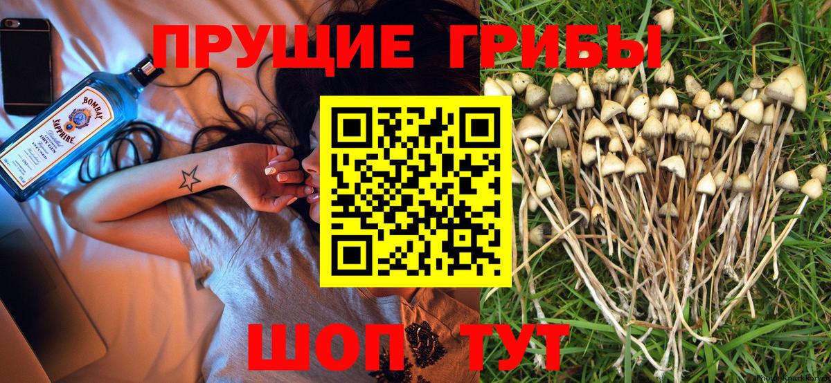 Псилоцибиновые грибы мухоморы  Вход с VPN  Сунжа 