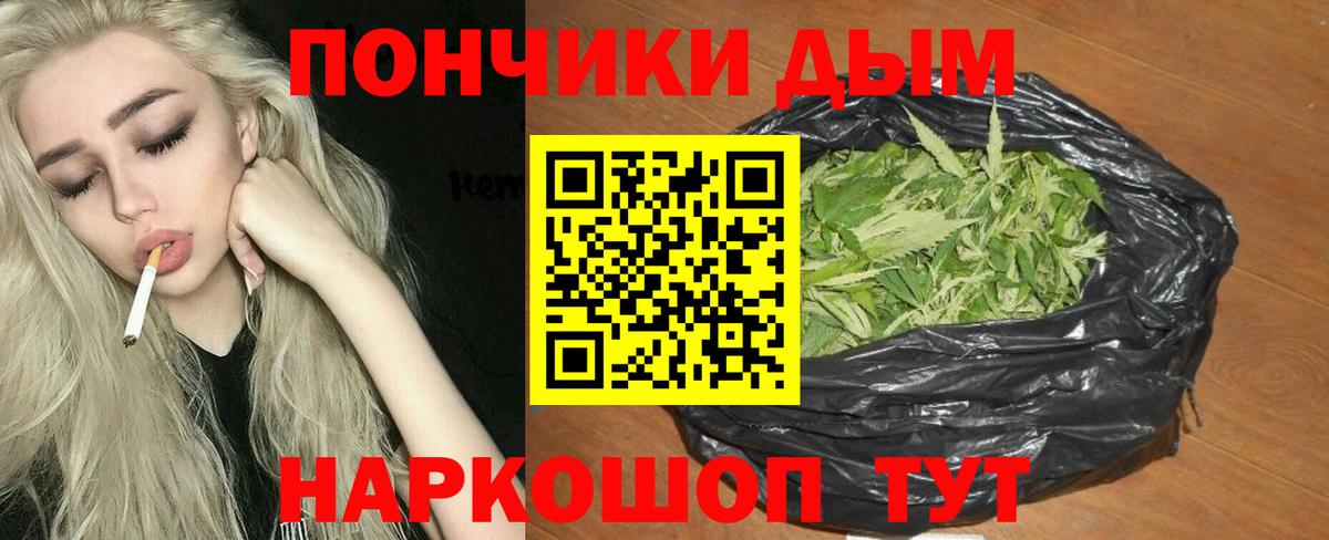 Марихуана семена Сунжа